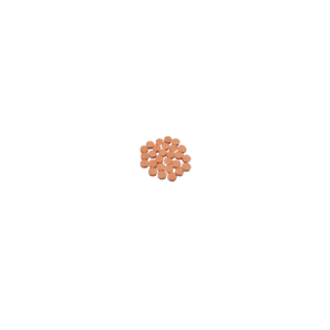 Norflurazepam Pellets – 5mg